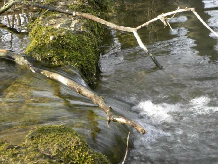 Pollunder und andere&nbsp;Kuriositäten