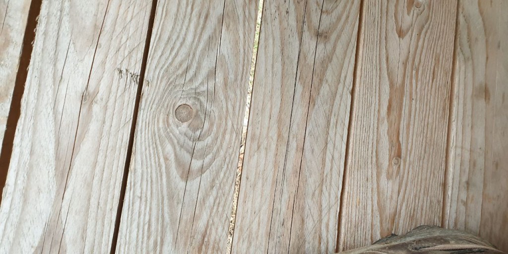 Hochsitz kommt vor dem&nbsp;Fall