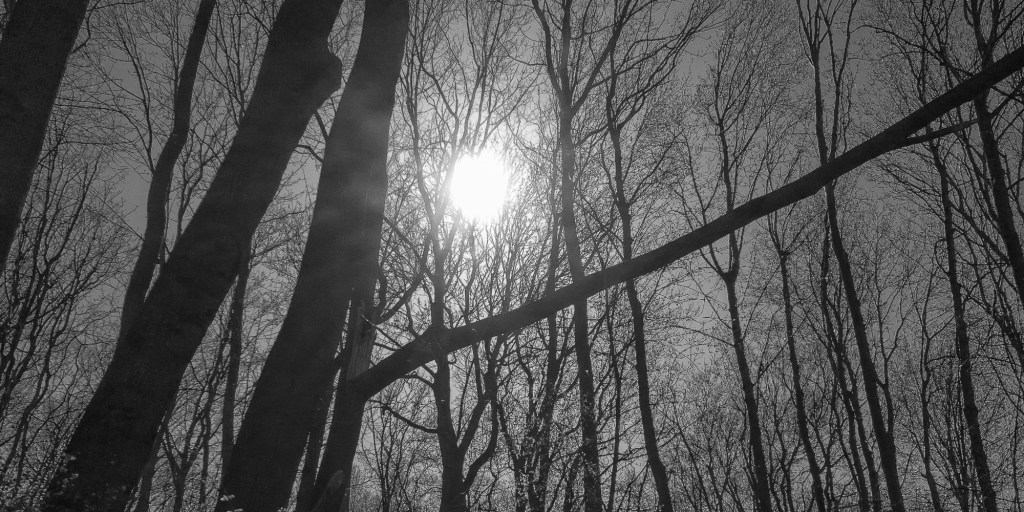 ein bisschen wie&nbsp;Atmen