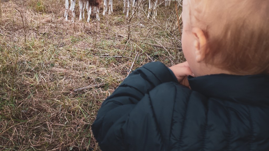 Nach einer wahren&nbsp;Begebenheit