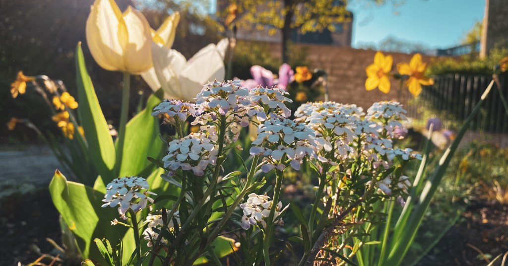 Spaghetti zum Frühstück
