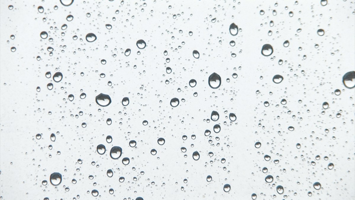 Pfützen und Pfefferminz