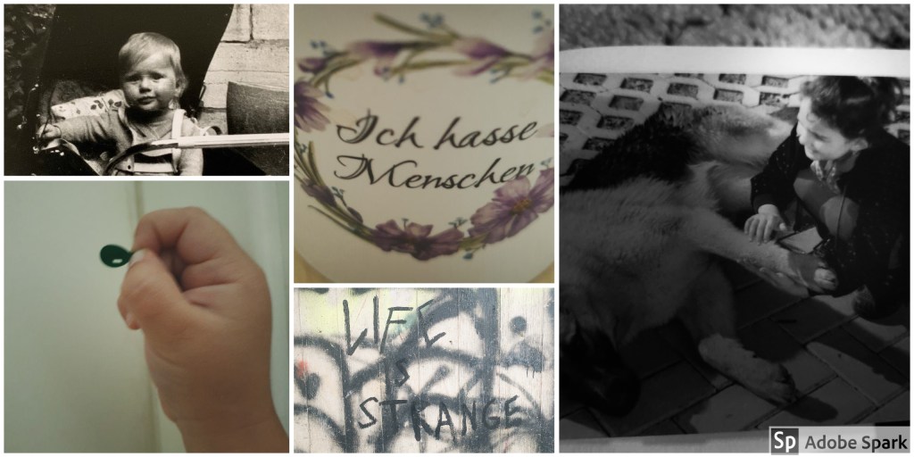 Hallo, I bims,&nbsp;moiTM