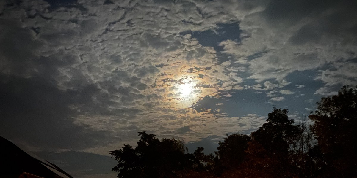 dreizehn geschichten – fünf&nbsp;(13/5)