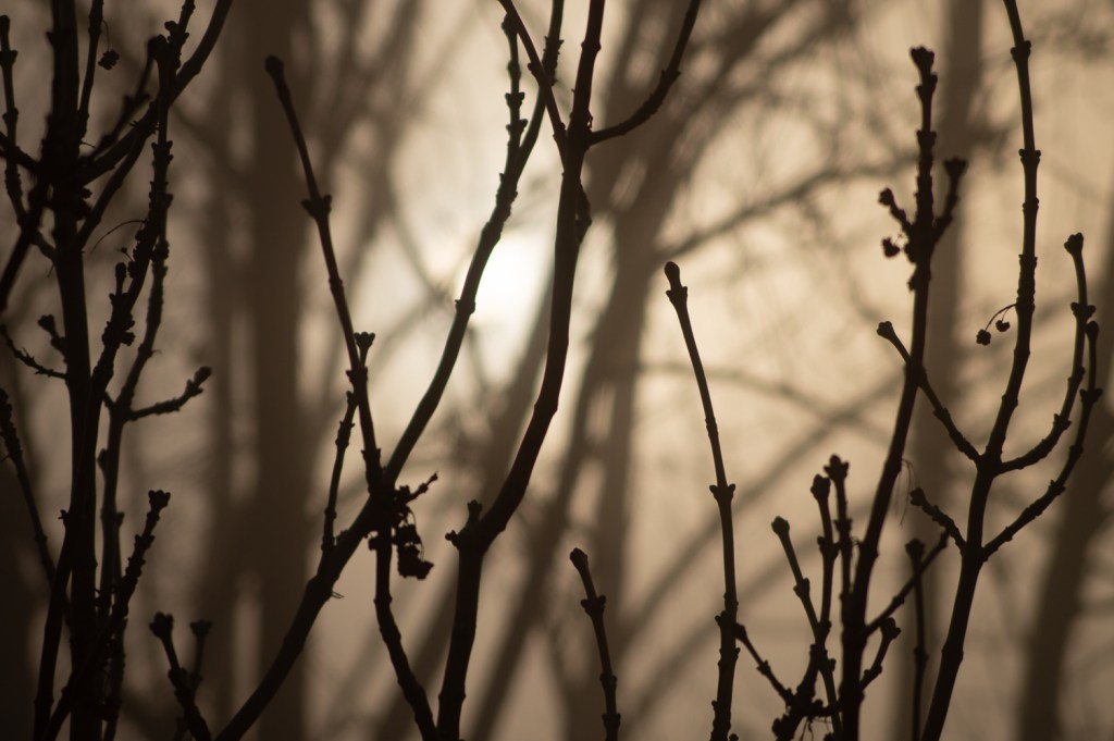 Nichtsdestoweniger-Trotz