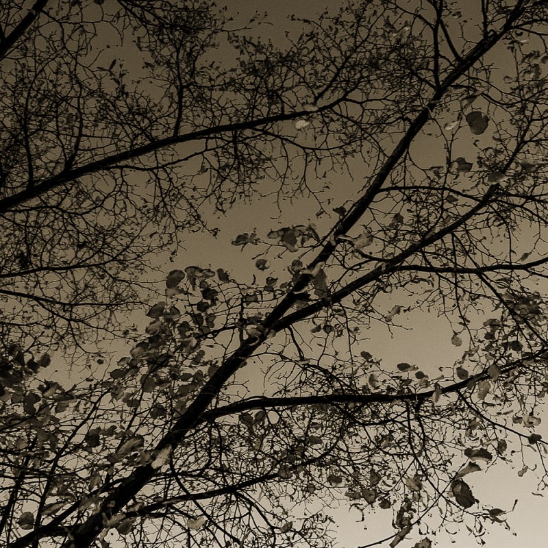 Kann gar nich‘&nbsp;sein!