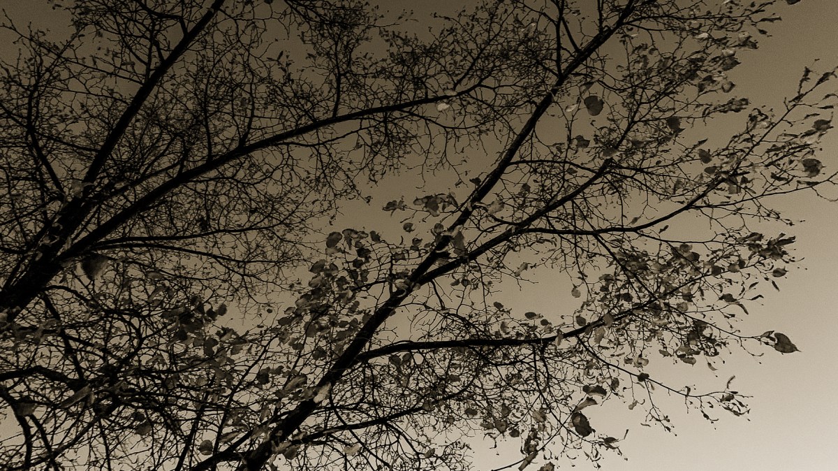 Kann gar nich‘&nbsp;sein!