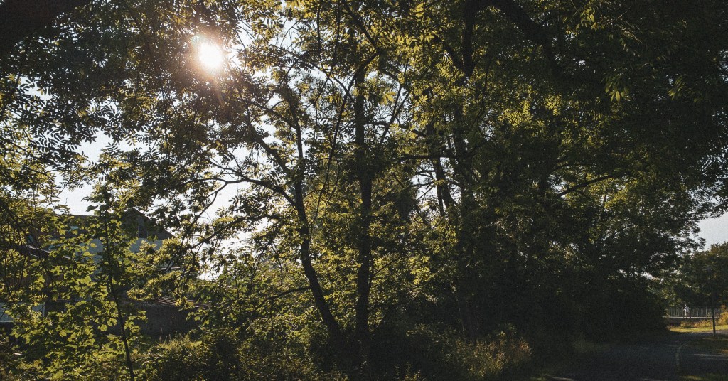 cerebral procrastination