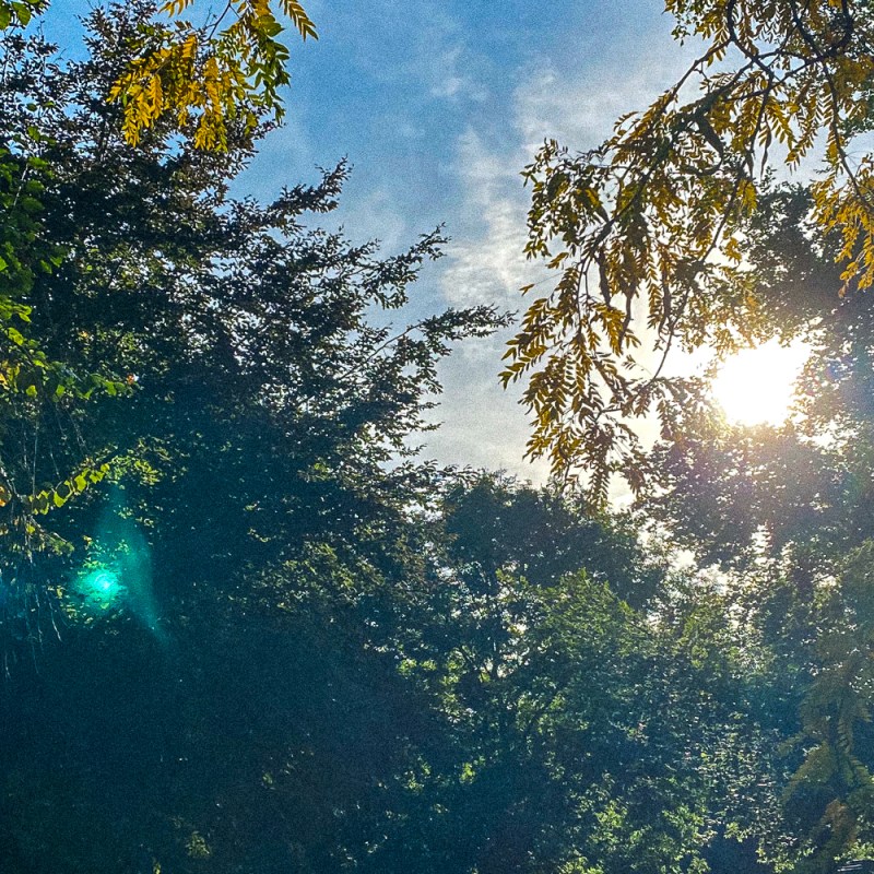 Life goes on, mir ist kalt, ich habe&nbsp;Hunger