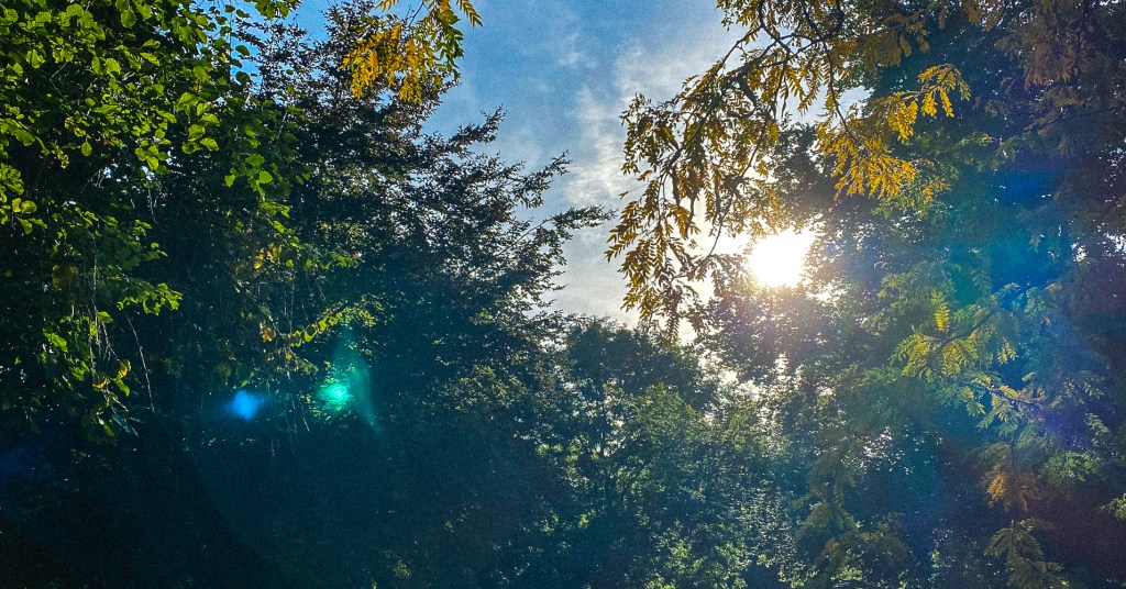 Life goes on, mir ist kalt, ich habe&nbsp;Hunger