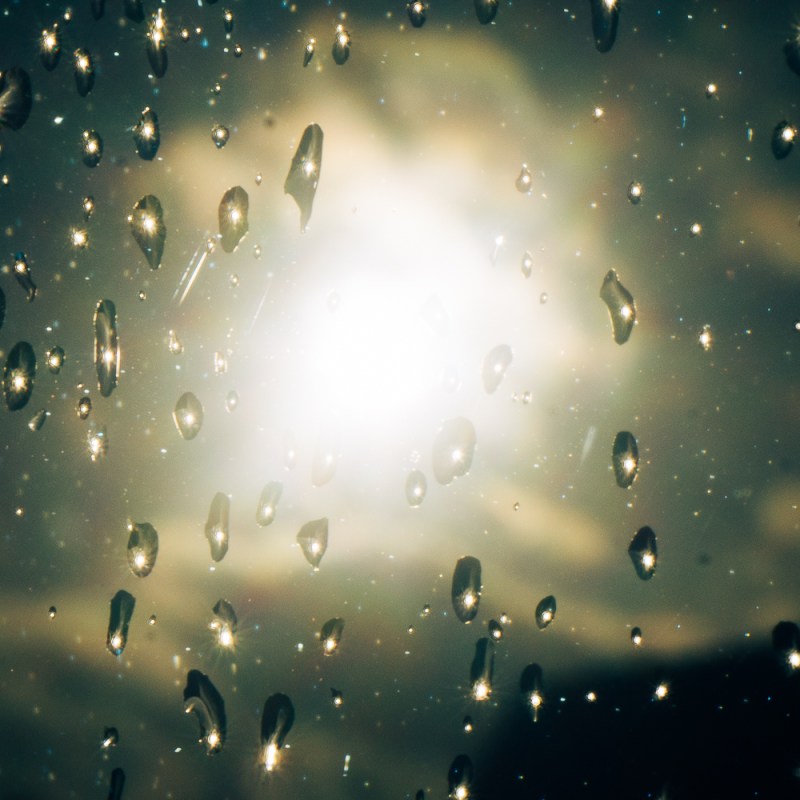 Ein Samenkorn im&nbsp;Regen