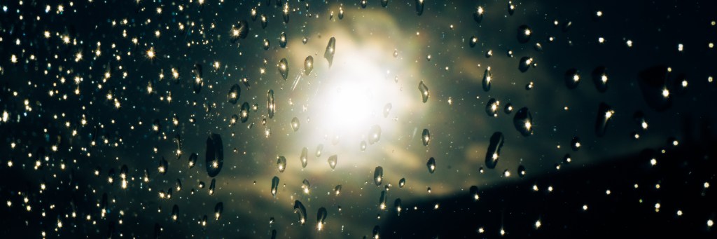 Ein Samenkorn im&nbsp;Regen