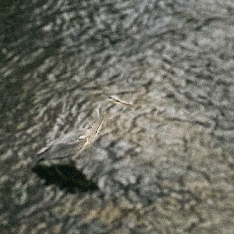 Jahresendgedöns, Version 2.0.21