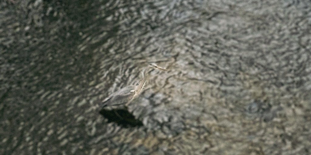 Jahresendgedöns, Version 2.0.21