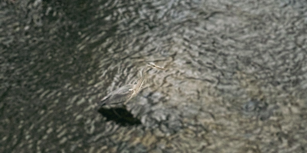 Jahresendgedöns, Version 2.0.21